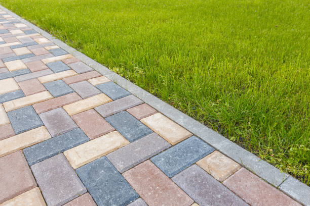 Best Local Driveway Pavers  in Perryville, AR